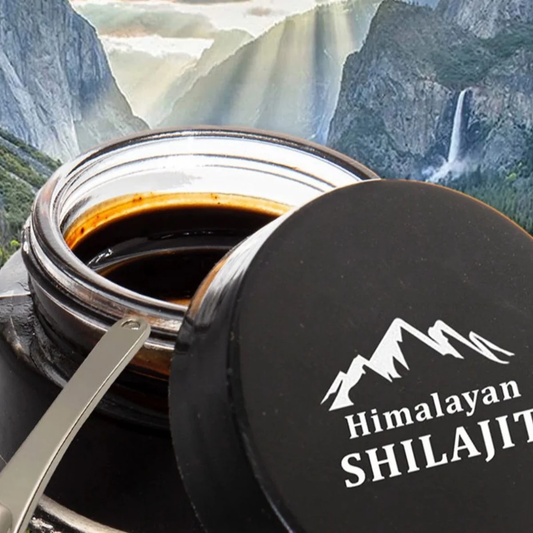 Shilajit Energy™